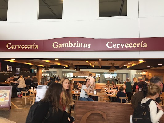 cerveceria-beer-1516